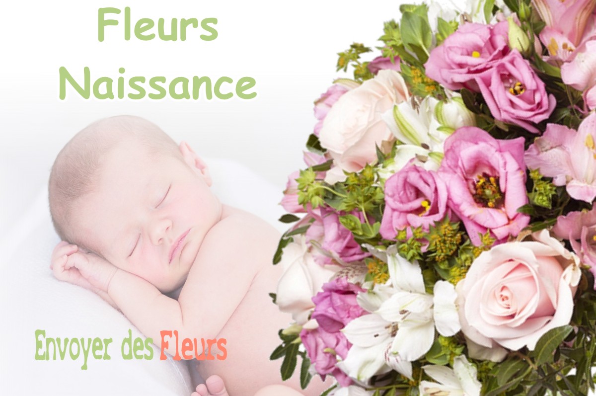 lIVRAISON FLEURS NAISSANCE à CONSENVOYE